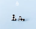 Arlequin Heart Studs