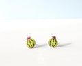 Clous d'oreilles Cactus