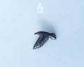 Flying Crow Pin