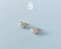 Boucles d'oreilles Edelweiss