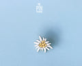 Edelweiss Pin