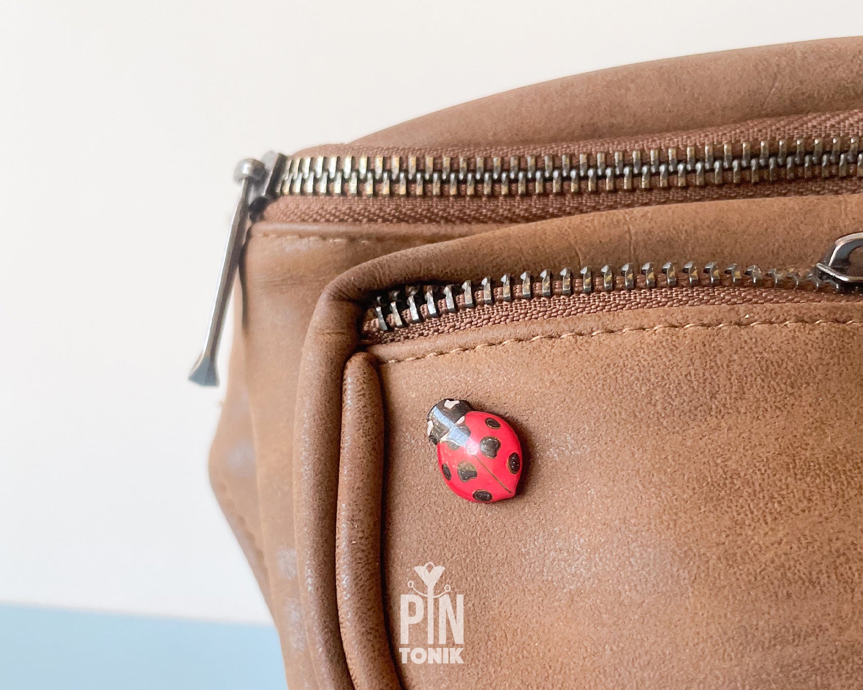 Ladybug Pin