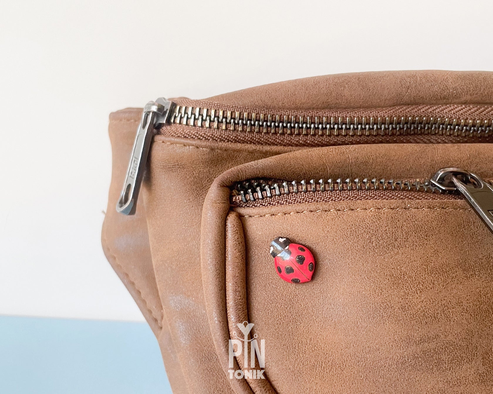 Ladybug Pin