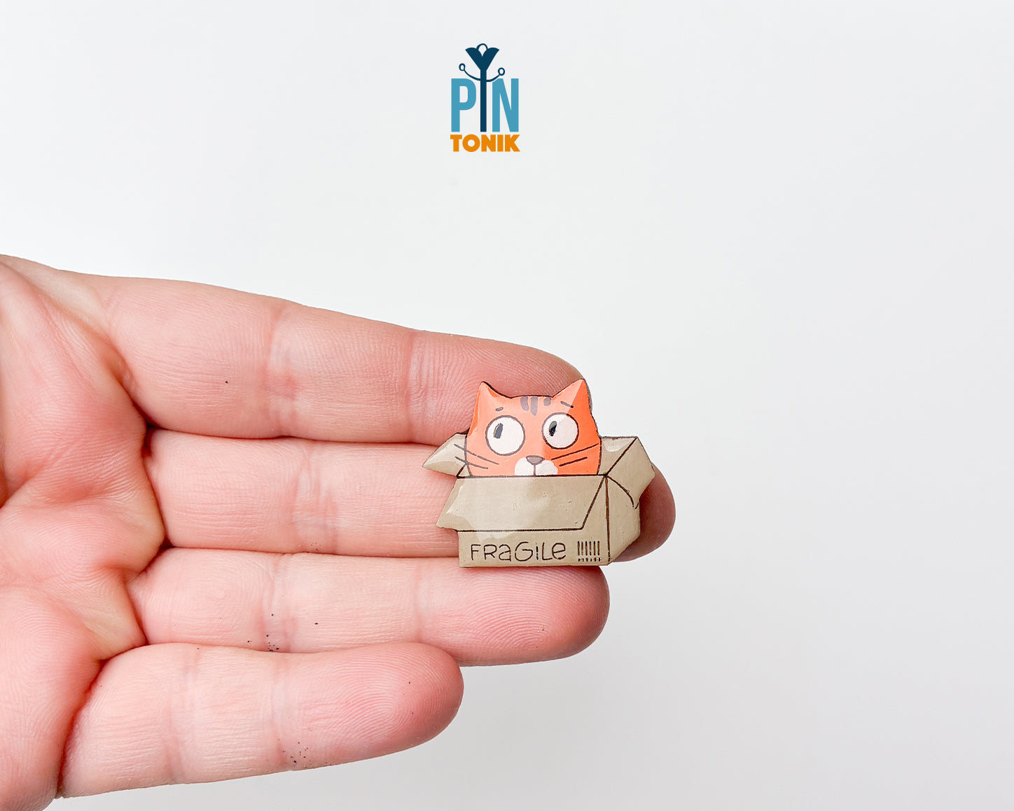 Cat in Box Pin